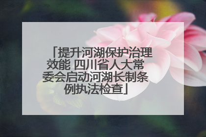 提升河湖保护治理效能 四川省人大常委会启动河湖长制条例执法检查
