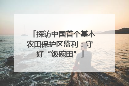 探访中国首个基本农田保护区监利：守好“饭碗田”