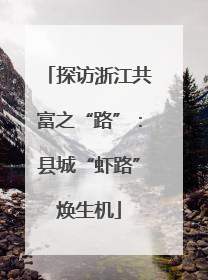 探访浙江共富之“路”：县城“虾路”焕生机