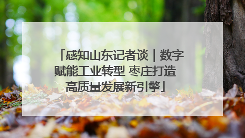 感知山东记者谈｜数字赋能工业转型 枣庄打造高质量发展新引擎