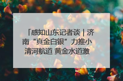感知山东记者谈｜济南“真金白银”力推小清河航道 黄金水道激活区域经济新动能