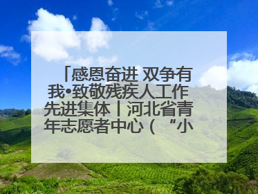 感恩奋进 双争有我•致敬残疾人工作先进集体丨河北省青年志愿者中心（“小橘灯”助残接力计划实施团队）：用温暖陪伴，守护特殊孩子成长