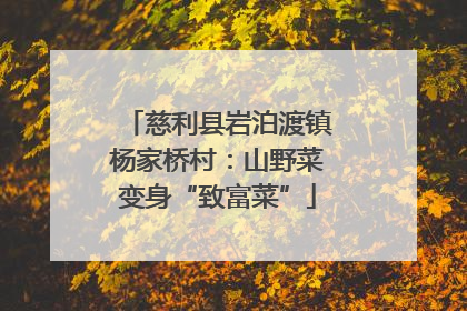 慈利县岩泊渡镇杨家桥村：山野菜变身“致富菜”