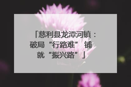 慈利县龙潭河镇：破局“行路难” 铺就“振兴路”