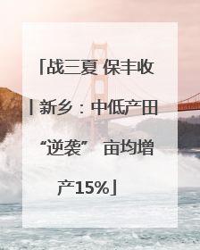 战三夏 保丰收丨新乡：中低产田“逆袭” 亩均增产15%
