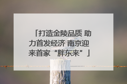 打造金陵品质 助力首发经济 南京迎来首家“胖东来”