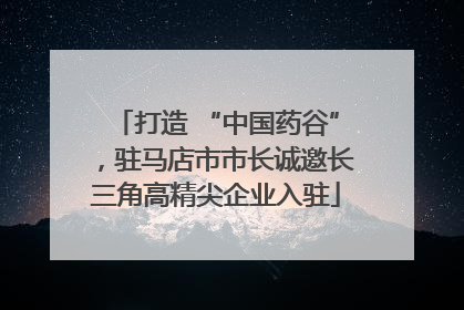 打造 “中国药谷”，驻马店市市长诚邀长三角高精尖企业入驻