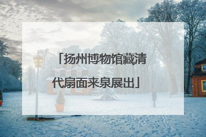 扬州博物馆藏清代扇面来泉展出