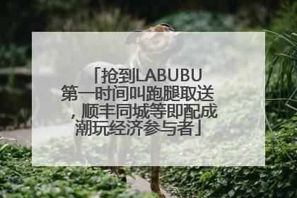 抢到LABUBU第一时间叫跑腿取送，顺丰同城等即配成潮玩经济参与者