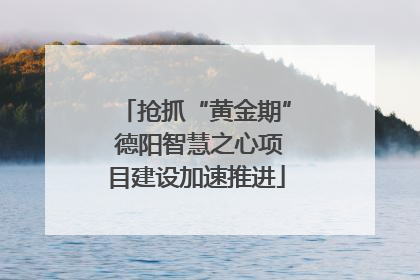 抢抓“黄金期” 德阳智慧之心项目建设加速推进