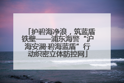 护碧海净浪，筑蓝盾铁壁——浦东海警“沪海安澜·碧海蓝盾”行动织密立体防控网