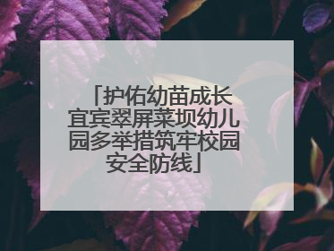 护佑幼苗成长 宜宾翠屏菜坝幼儿园多举措筑牢校园安全防线