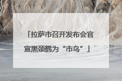 拉萨市召开发布会官宣黑颈鹤为“市鸟”
