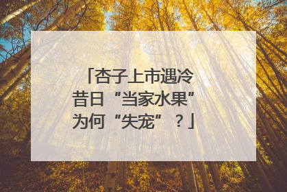 杏子上市遇冷 昔日“当家水果”为何“失宠”？