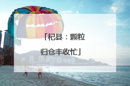 杞县：颗粒归仓丰收忙