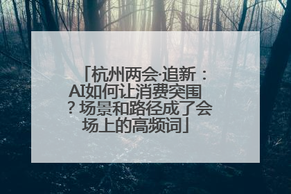 杭州两会·追新：AI如何让消费突围？场景和路径成了会场上的高频词