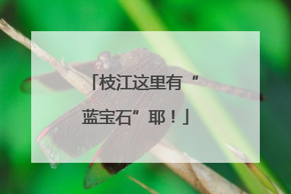 枝江这里有“蓝宝石”耶！