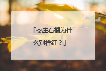 枣庄石榴为什么别样红？