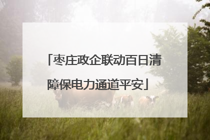 枣庄政企联动百日清障保电力通道平安