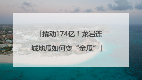 撬动174亿！龙岩连城地瓜如何变“金瓜”