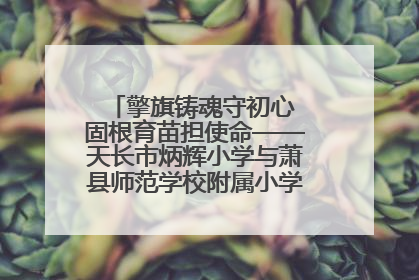 擎旗铸魂守初心 固根育苗担使命——天长市炳辉小学与萧县师范学校附属小学结对共建活动纪实