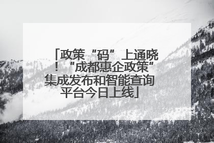 政策“码”上通晓！“成都惠企政策”集成发布和智能查询平台今日上线
