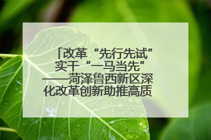 改革“先行先试” 实干“一马当先”——菏泽鲁西新区深化改革创新助推高质量发展纪实