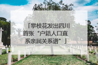 攀枝花发出四川首张“户籍人口直系亲属关系谱”