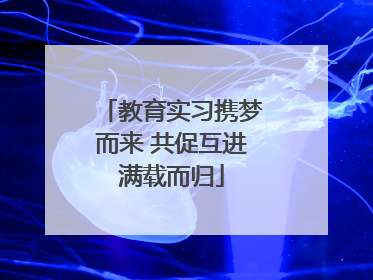 教育实习携梦而来 共促互进满载而归