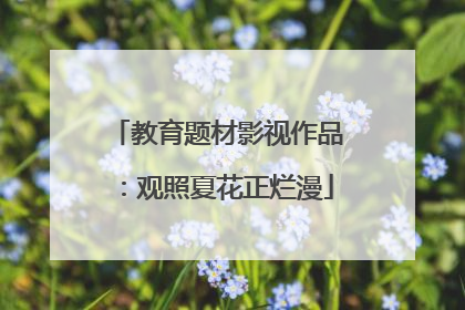 教育题材影视作品：观照夏花正烂漫