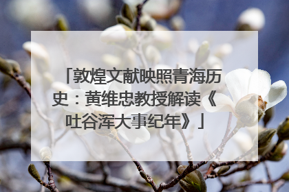 敦煌文献映照青海历史：黄维忠教授解读《吐谷浑大事纪年》