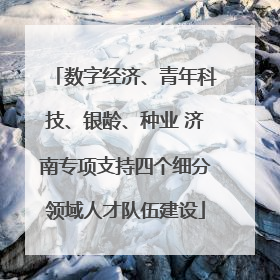 数字经济、青年科技、银龄、种业 济南专项支持四个细分领域人才队伍建设