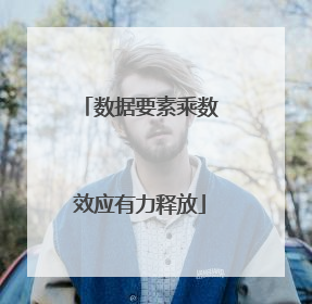 数据要素乘数效应有力释放