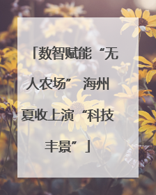 数智赋能“无人农场” 海州夏收上演“科技丰景”