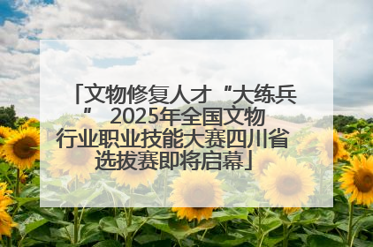 文物修复人才“大练兵” 2025年全国文物行业职业技能大赛四川省选拔赛即将启幕