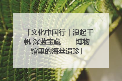 文化中国行｜浪起千帆 深蓝宝藏——博物馆里的海丝遗珍