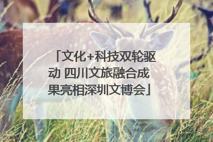 文化+科技双轮驱动 四川文旅融合成果亮相深圳文博会