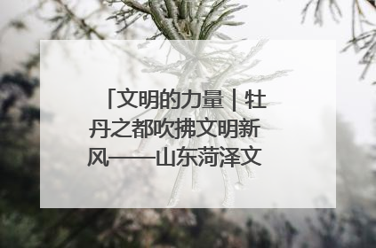 文明的力量｜牡丹之都吹拂文明新风——山东菏泽文明创建一线见闻