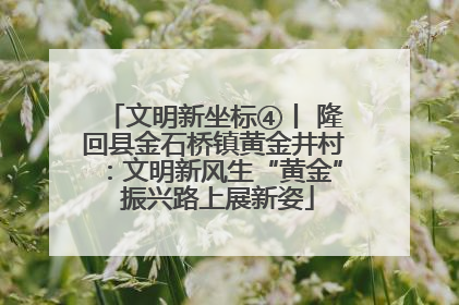 文明新坐标④丨 隆回县金石桥镇黄金井村：文明新风生“黄金” 振兴路上展新姿