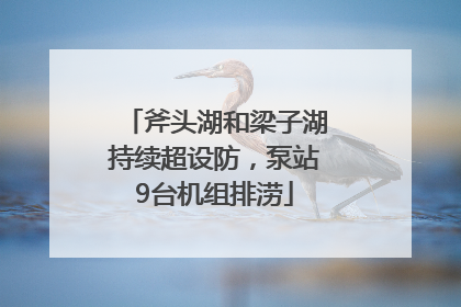 斧头湖和梁子湖持续超设防，泵站9台机组排涝