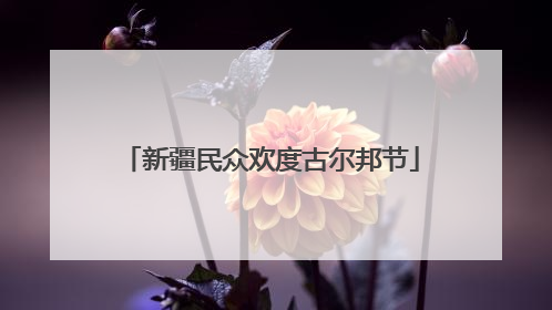 新疆民众欢度古尔邦节
