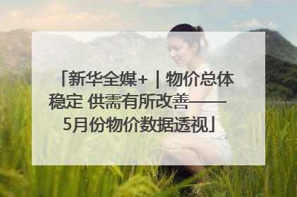 新华全媒+｜物价总体稳定 供需有所改善——5月份物价数据透视