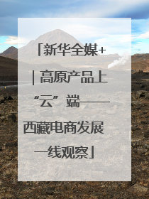 新华全媒+｜高原产品上“云”端——西藏电商发展一线观察