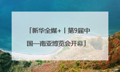 新华全媒+丨第9届中国—南亚博览会开幕
