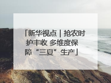新华视点｜抢农时 护丰收 多维度保障“三夏”生产