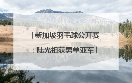 新加坡羽毛球公开赛：陆光祖获男单亚军