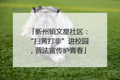 新州镇文星社区：“扫黄打非”进校园，普法宣传护青春