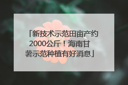 新技术示范田亩产约2000公斤！海南甘薯示范种植有好消息