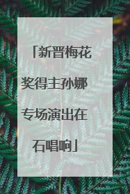 新晋梅花奖得主孙娜专场演出在石唱响