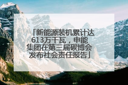 新能源装机累计达613万千瓦，申能集团在第三届碳博会发布社会责任报告
